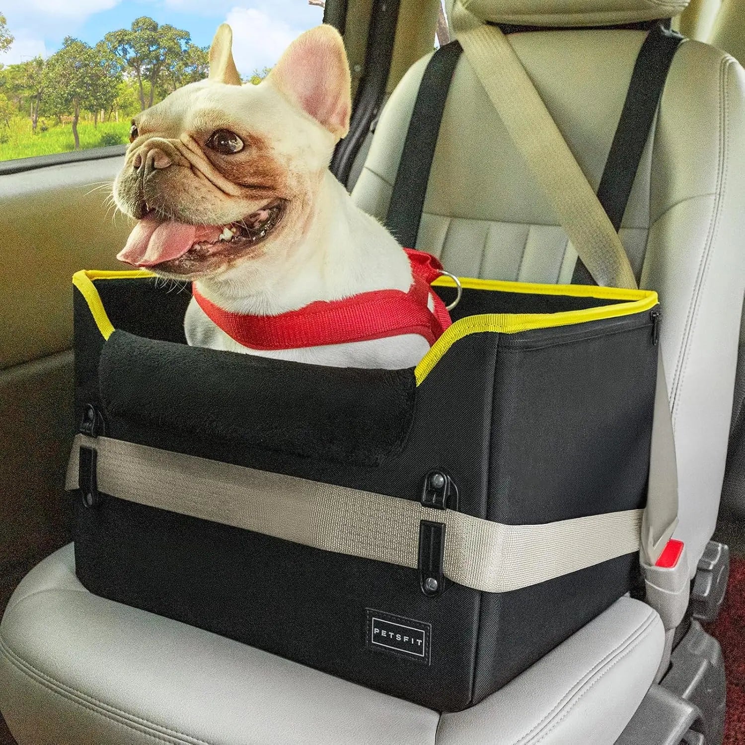 PETSFIT Small Dog Booster Car Seat with Safety Buckles &amp; Tether, Foldable