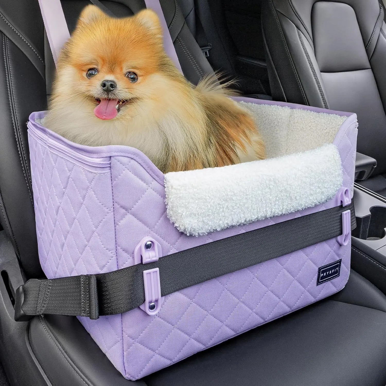 PETSFIT Small Dog Booster Car Seat with Safety Buckles &amp; Tether, Foldable
