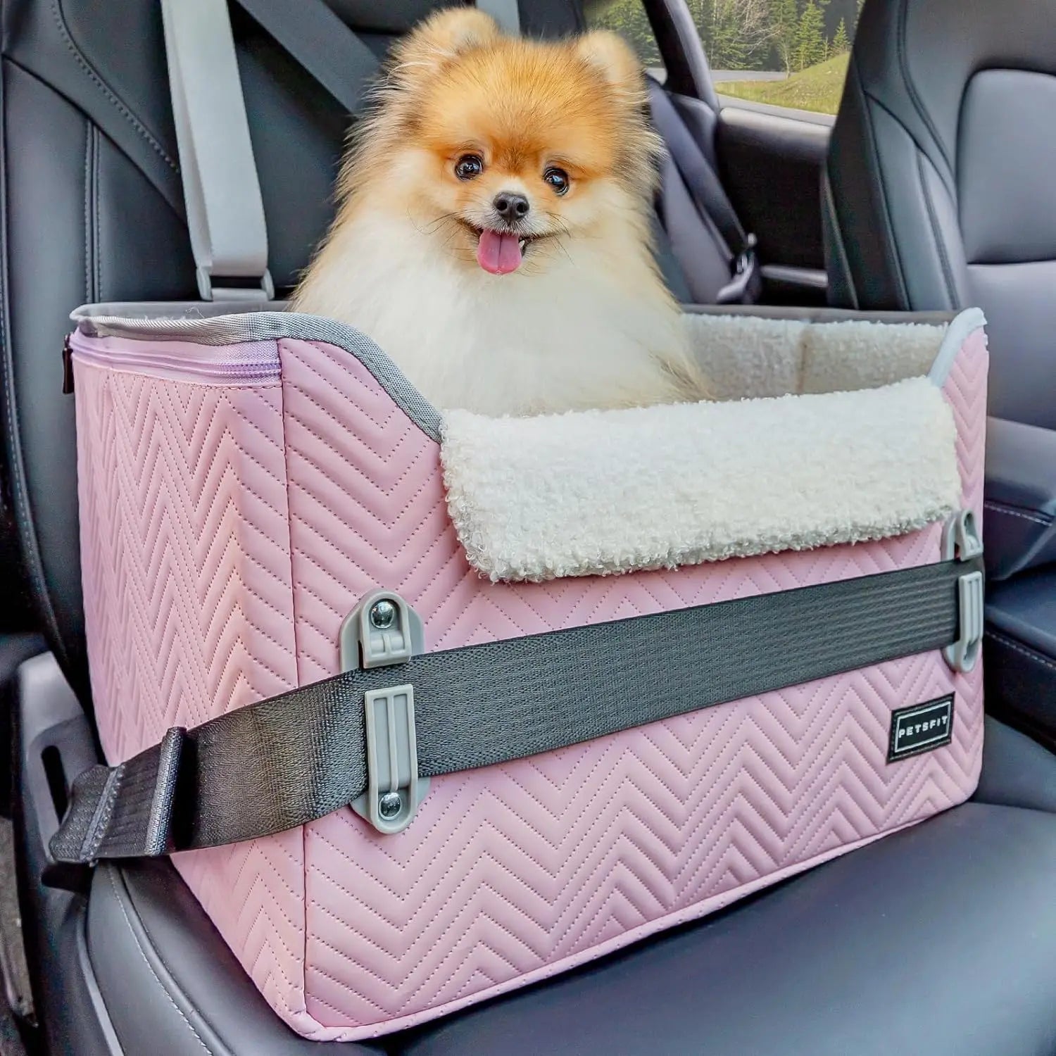 PETSFIT Small Dog Booster Car Seat with Safety Buckles &amp; Tether, Foldable