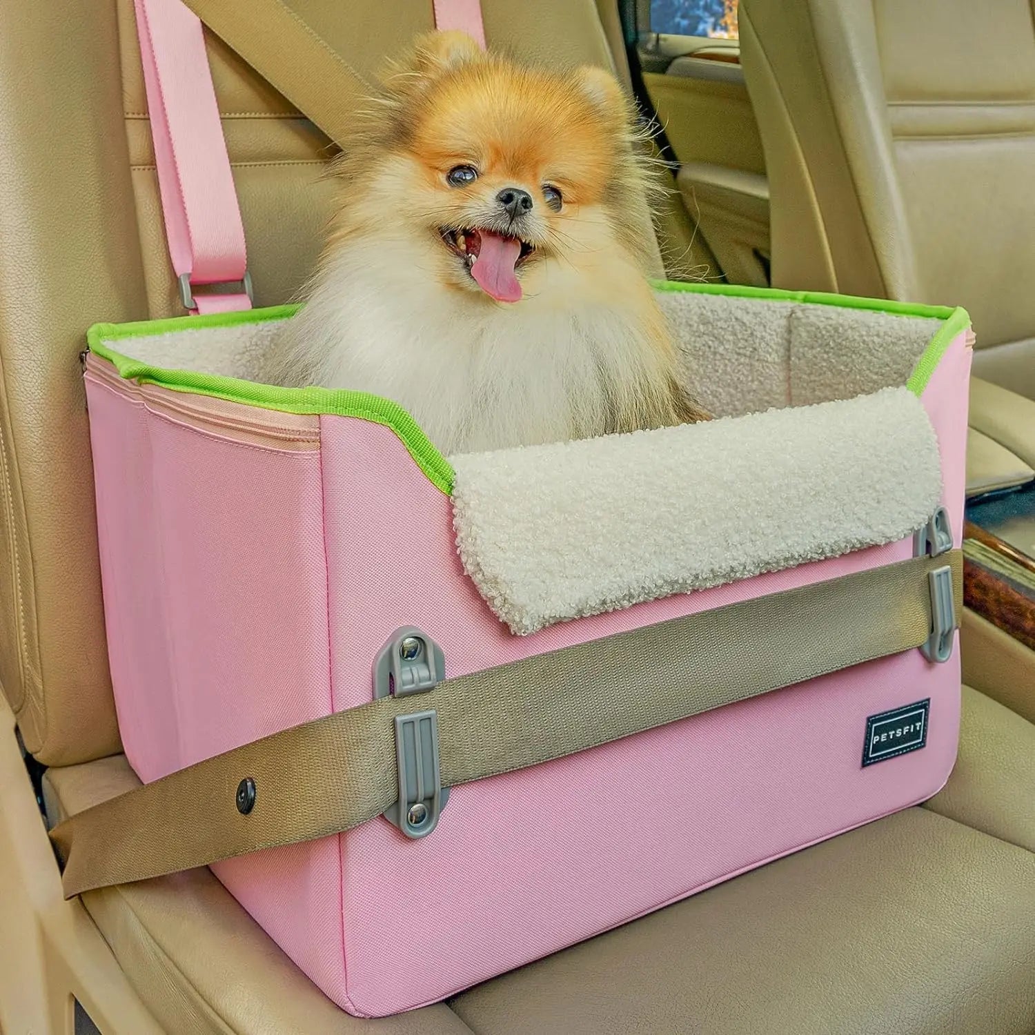 PETSFIT Small Dog Booster Car Seat with Safety Buckles &amp; Tether, Foldable