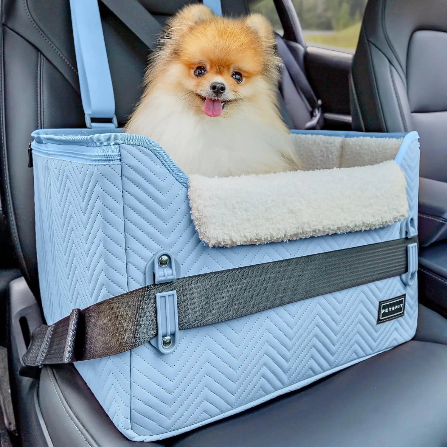 PETSFIT Small Dog Booster Car Seat with Safety Buckles &amp; Tether, Foldable