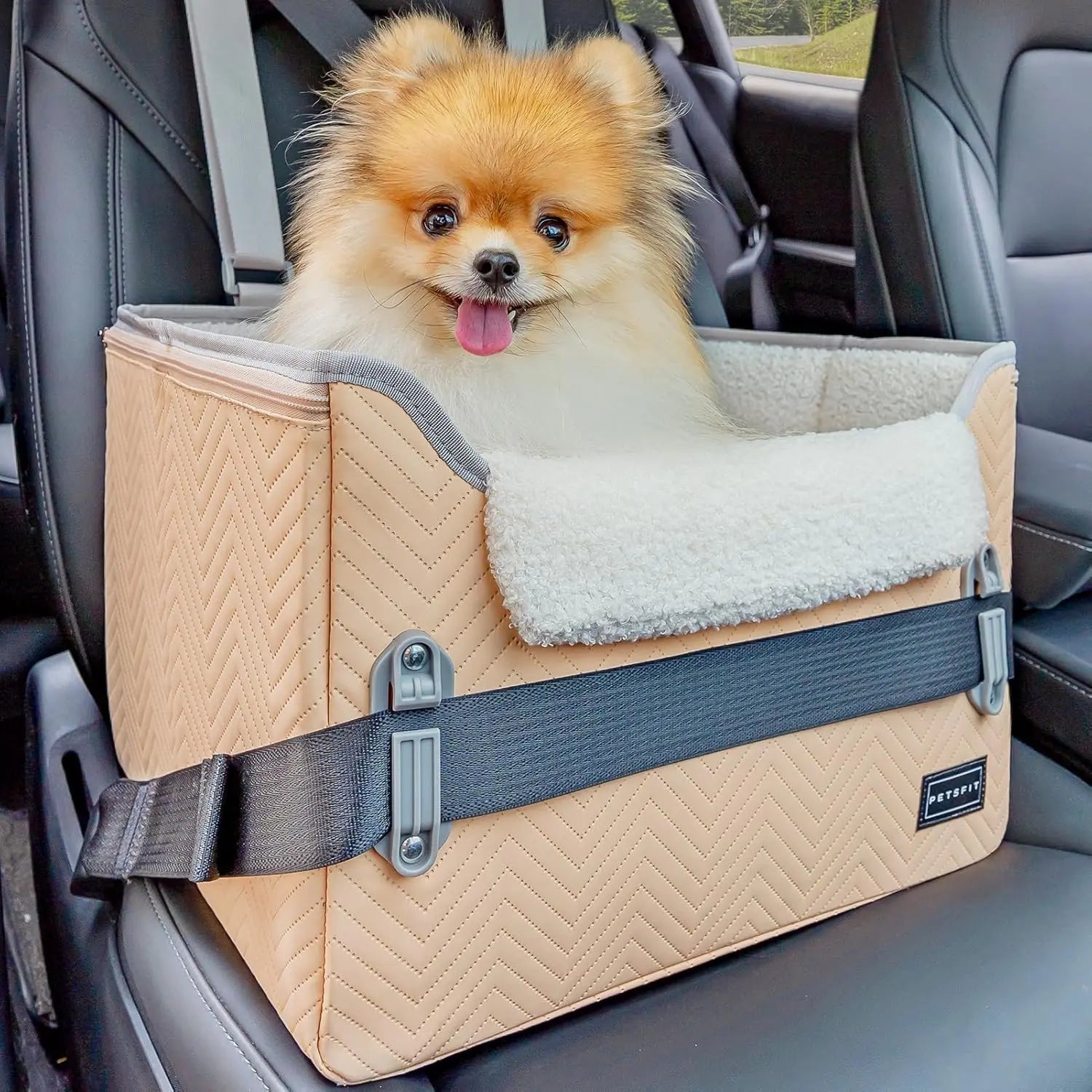 PETSFIT Small Dog Booster Car Seat with Safety Buckles &amp; Tether, Foldable