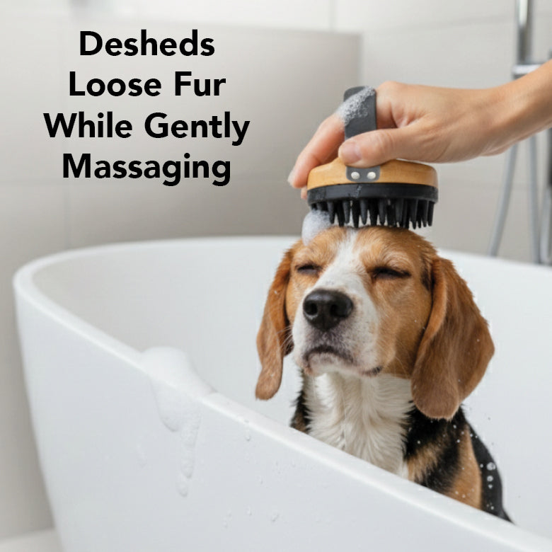 THE BATH BRUSH