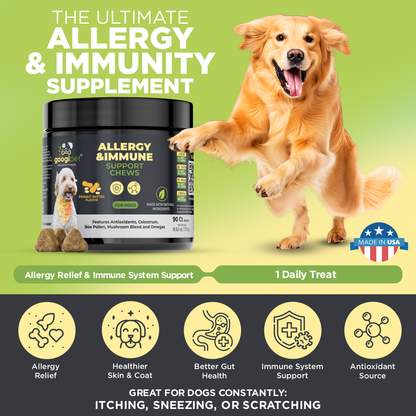 Allergy &amp; Immune Support Chews for Dogs (Peanut Butter Flavor)