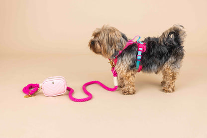 Stasia Dog Harness