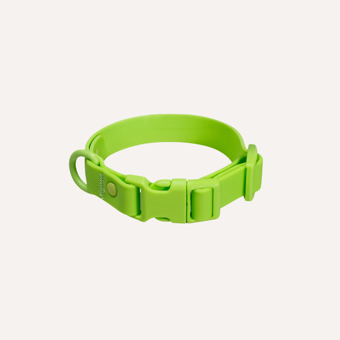 Tilley + Me PVC Dog Collar - All Weather Waterproof Durable &amp; Odor-Resistant