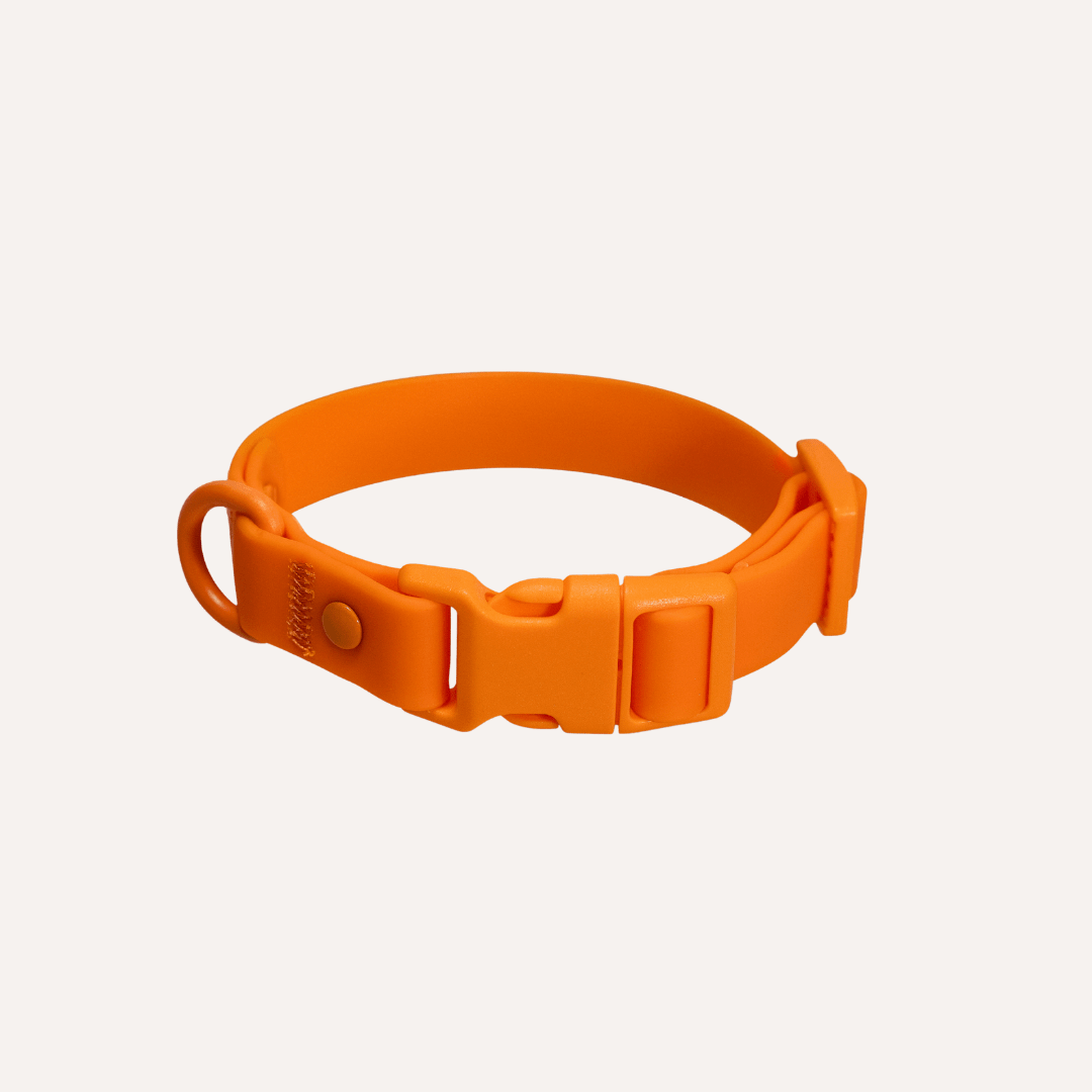 Tilley + Me PVC Dog Collar - All Weather Waterproof Durable &amp; Odor-Resistant