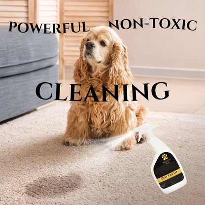 Paw Fresh | Spot Cleaner &amp; Deodorizer