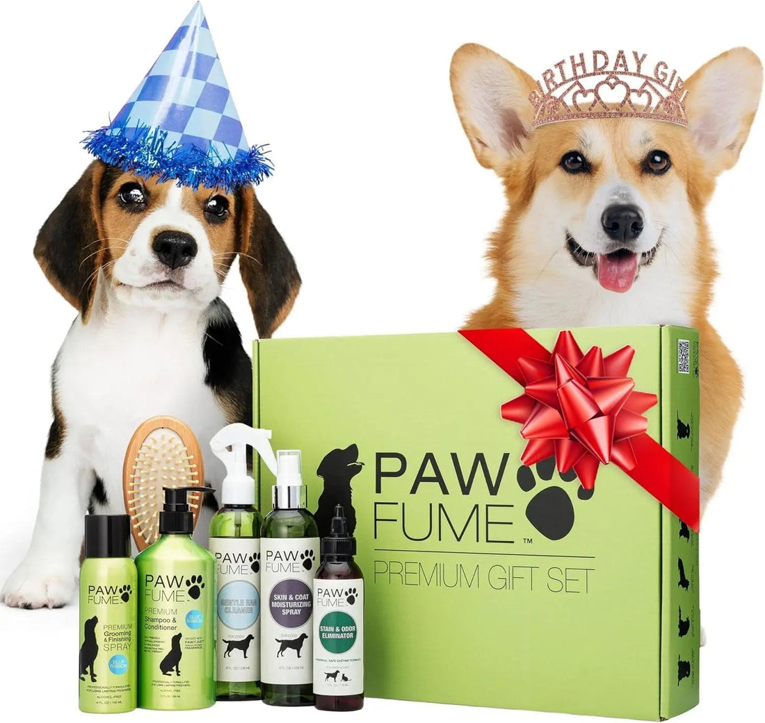 Pawfume Dog Spa Gift Basket 6-Piece Probiotic Deodorizer &amp; Grooming Set