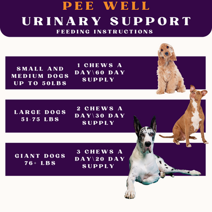 PiccardNaturePets Pee-Well Urinary Bladder Support Soft Chews for Dogs 60 Count