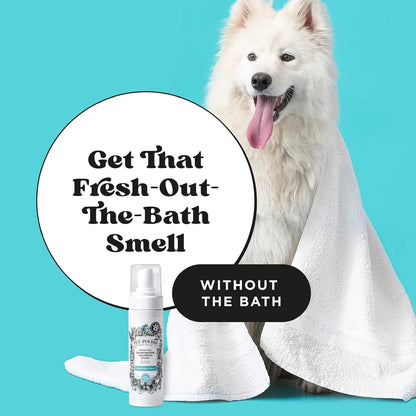 Pet Dry Shampoo No Rinse Foam Deodorizing Plant Based Dog Cat Odor
