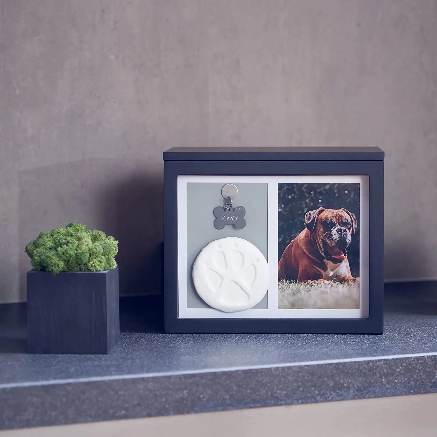 Pet Memorial Urn Keepsake Box for Dogs &amp; Cats w/ Paw Print Kit &amp; Album