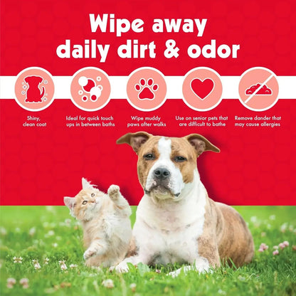 Pet Wipes for Dogs &amp; Cats – 100 Large Grooming Wipes for Ears, Face, Eyes &amp; Paws