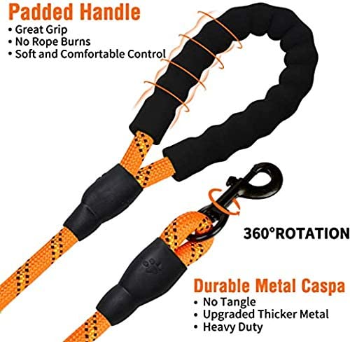 6 FT Dog Leash for Large and Medium Dogs-Orange Set of 5