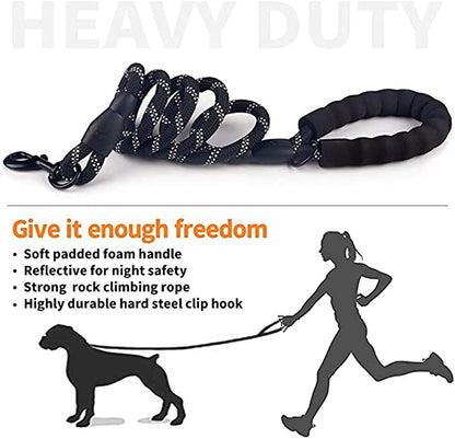 6 FT Dog Leash for Large and Medium Dogs-Orange Set of 5