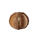 Treat &amp; Play Ball for Bunnies, Guinea Pigs &amp; Rodents Various Types