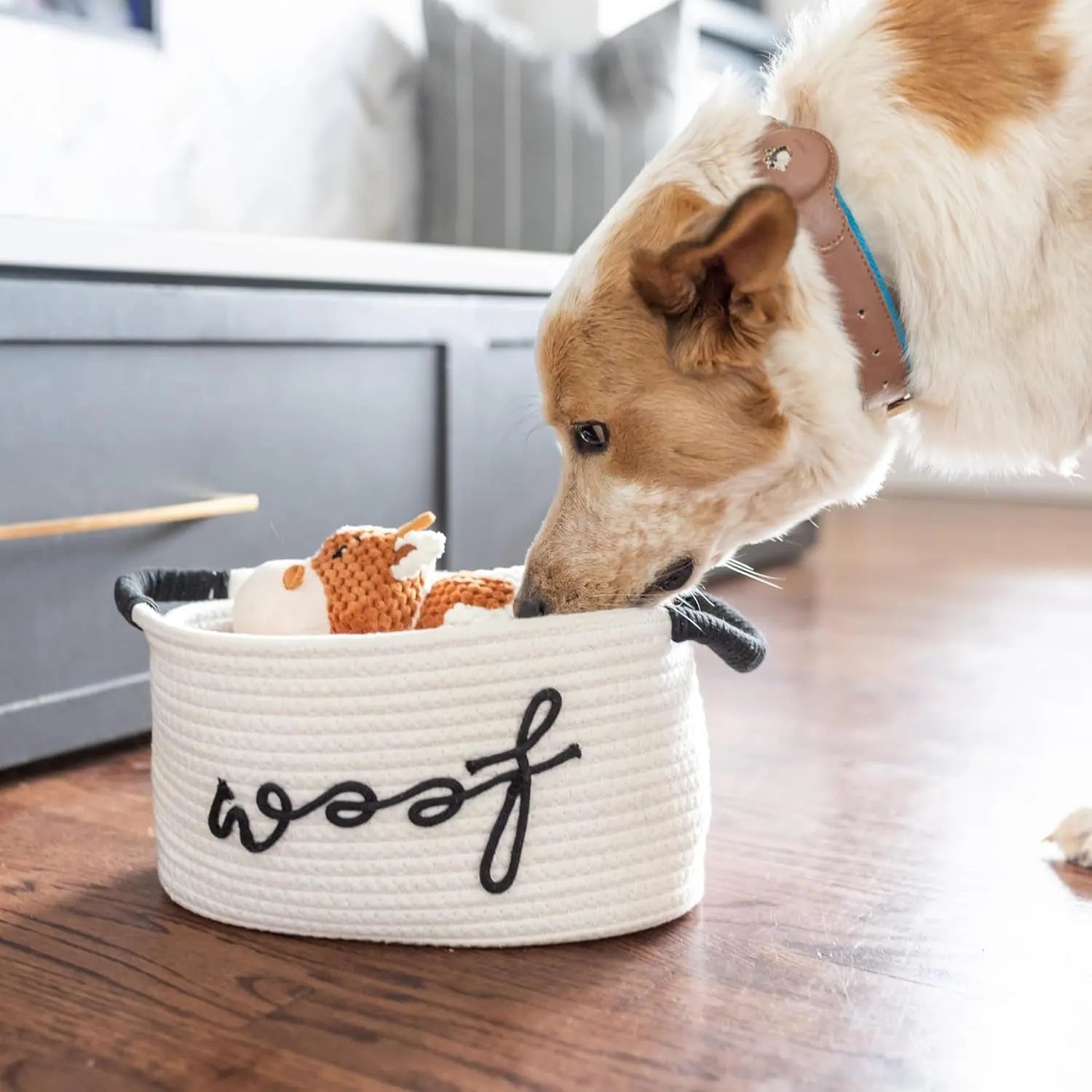 Premium New Puppy Gift Basket – Dog Starter Kit &amp; Birthday Toy Set