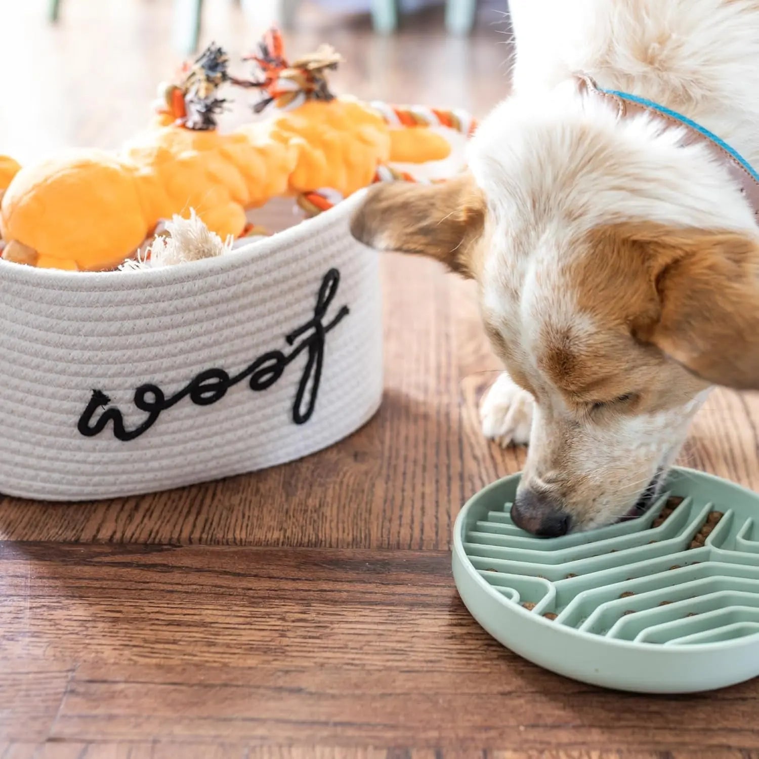 Premium New Puppy Gift Basket – Dog Starter Kit &amp; Birthday Toy Set