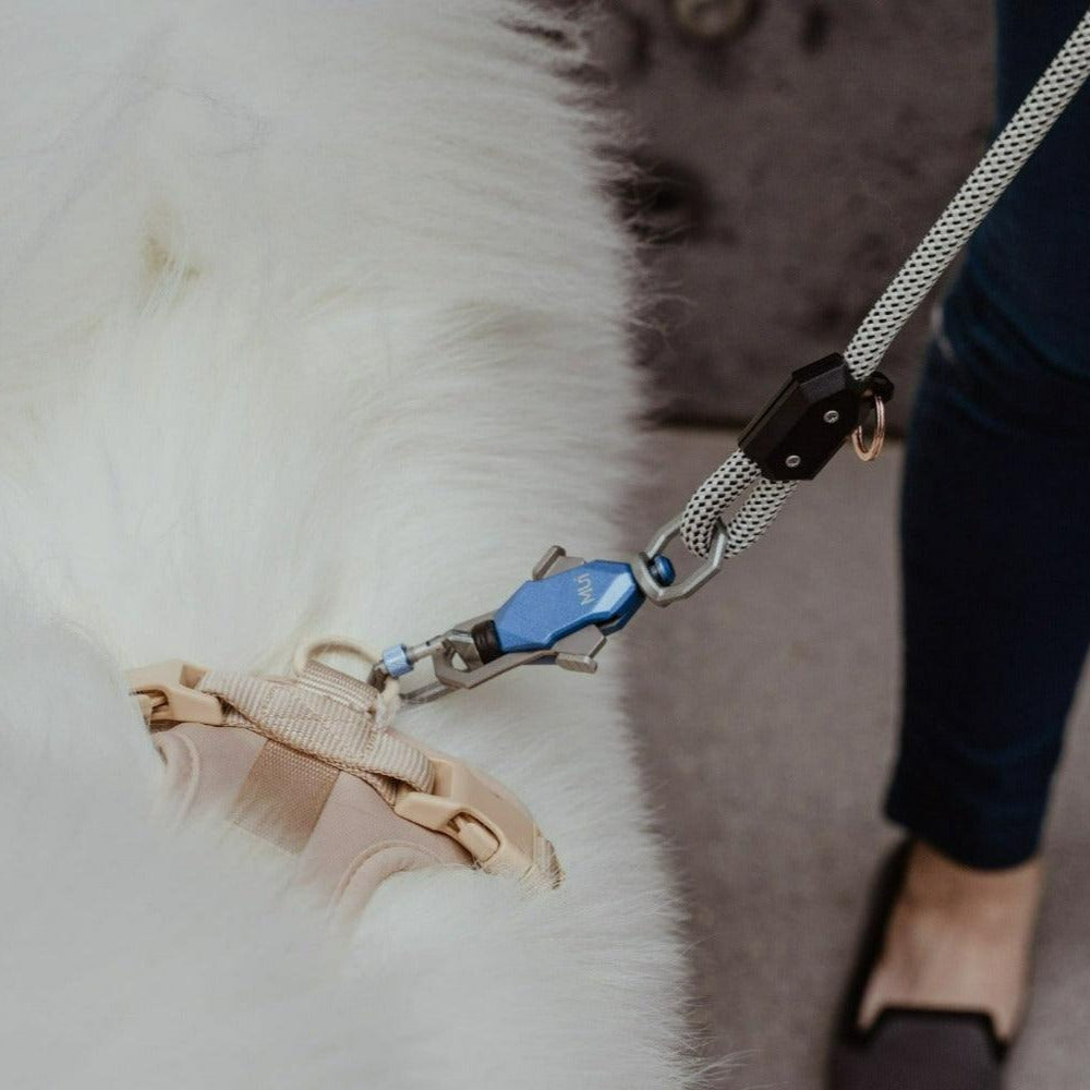 Patented Magnetic Dog Leash - One-Hand Connect &amp; Release