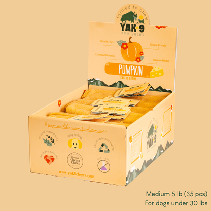 Pumpkin Cheese Chews for Dogs