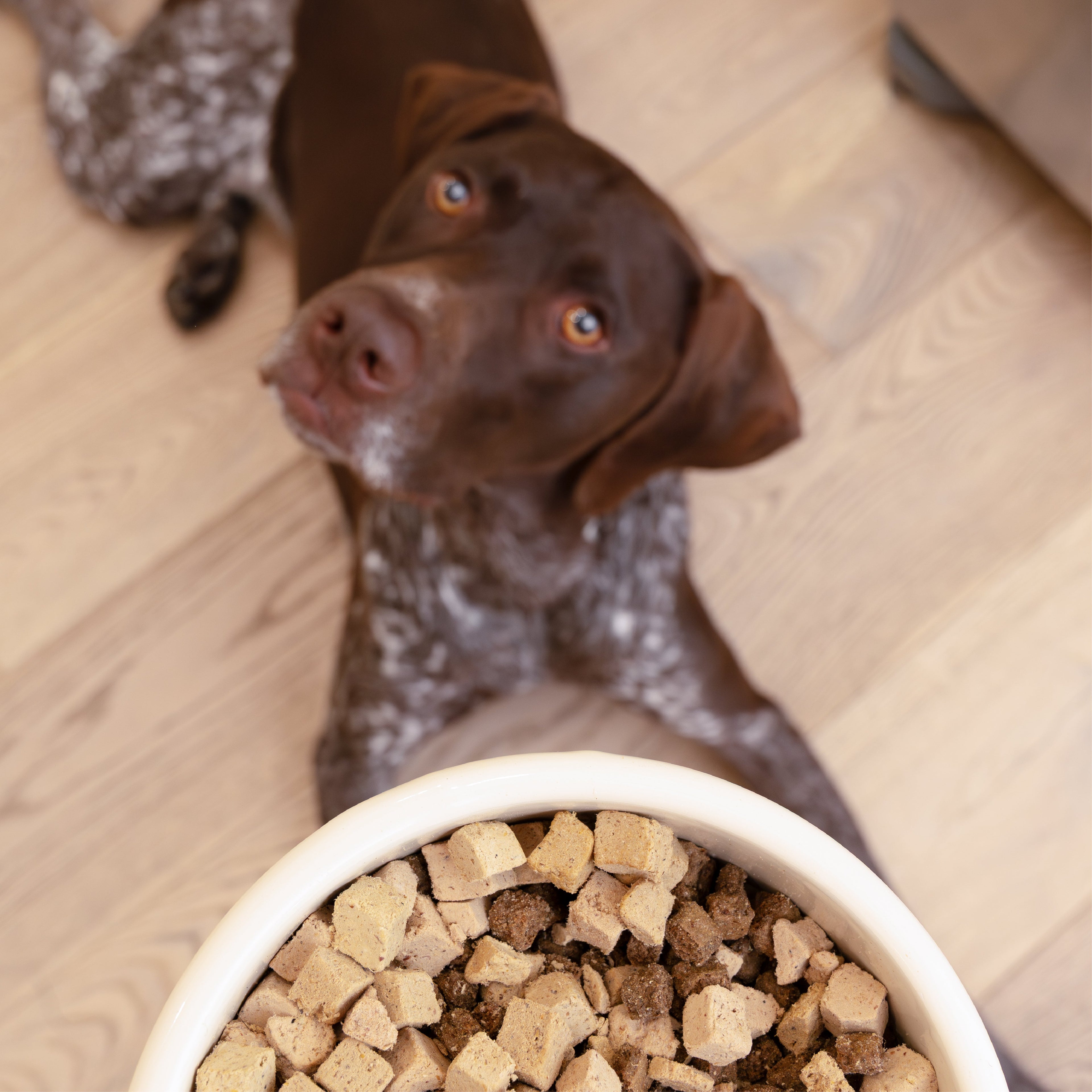Trout &amp; Beef Dog Food Topper