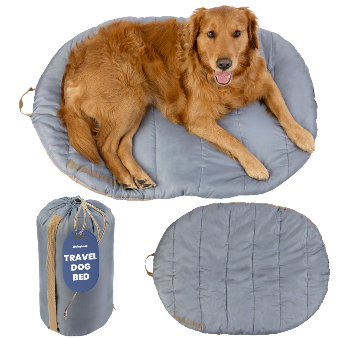 Travel Dog Bed - Foldable &amp; Packable for Travel, Road Trip, Camping