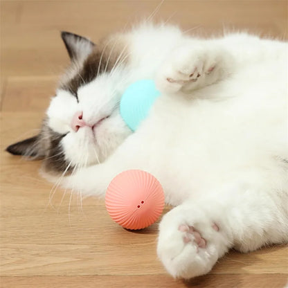 Smart Dog Toys Ball