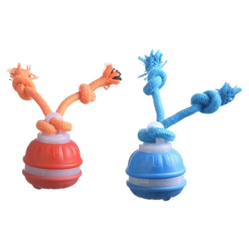 Pet Ball Interactive Toys for Dogs Motion Activate Rolling Ball for Puppy/Small Dogs Automatic Moving Toy USB Rechargeable Toy
