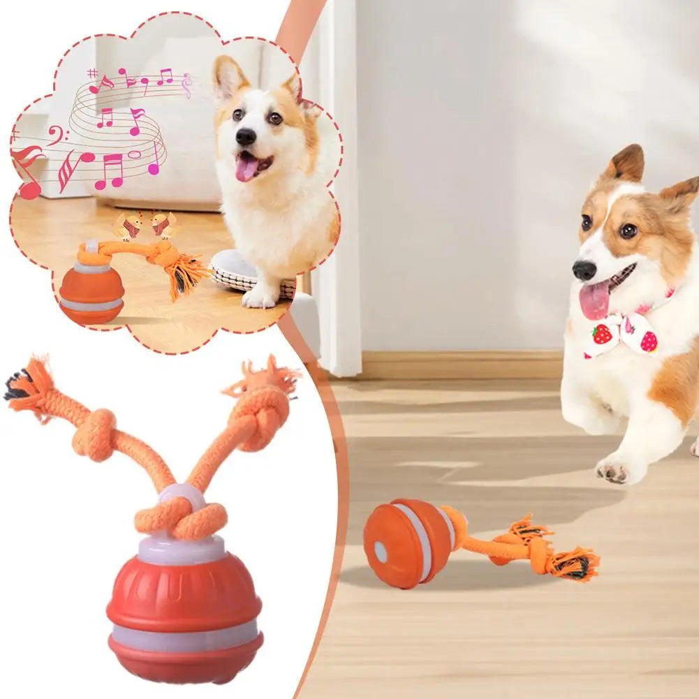 Pet Ball Interactive Toys for Dogs Motion Activate Rolling Ball for Puppy/Small Dogs Automatic Moving Toy USB Rechargeable Toy