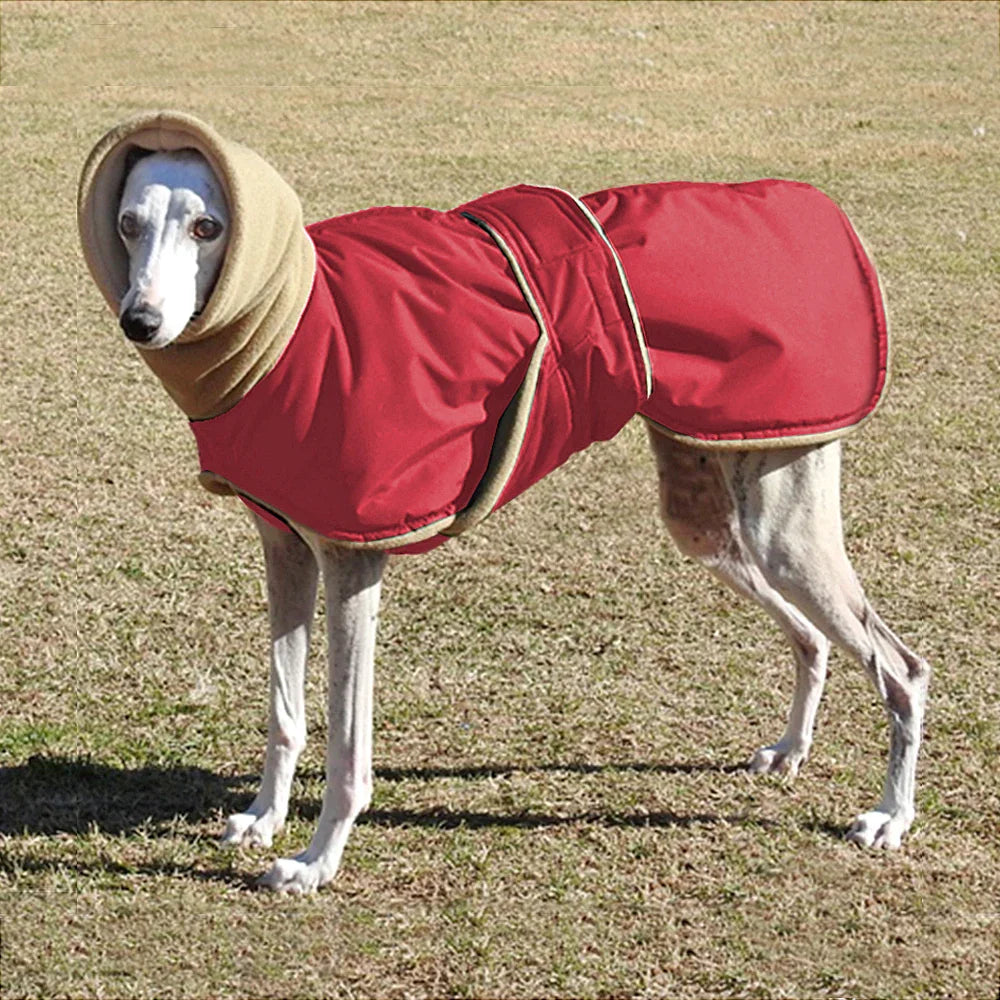 Arctic Paws: Cozy Waterproof Jacket for Big Dogs