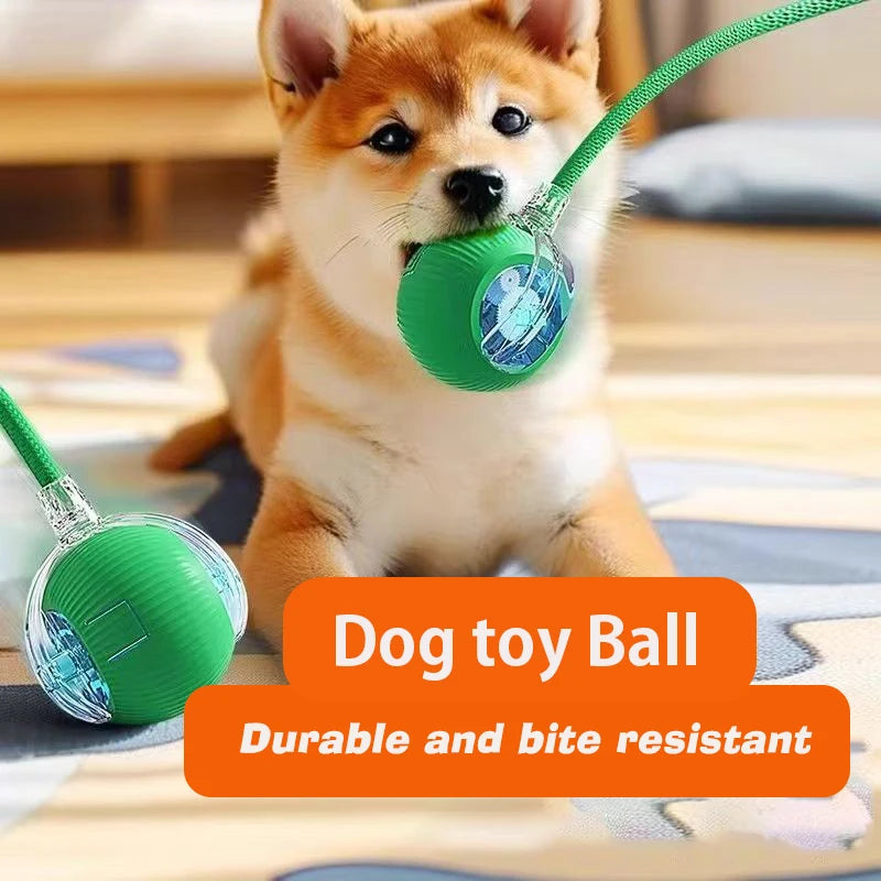 Ball Toy,Automatic Rolling