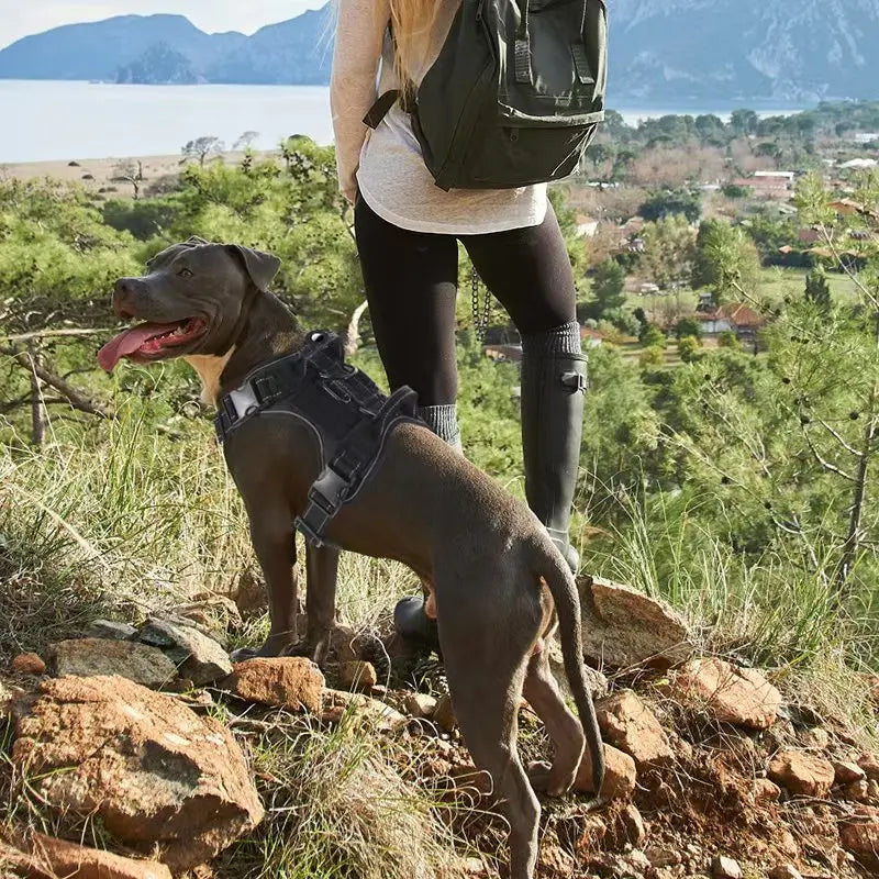 No Pull Dog Harness with Locator Silicone Protective Cover Anti slip Adjustable Pet Chest Harness for Medium &amp; Large Dogs