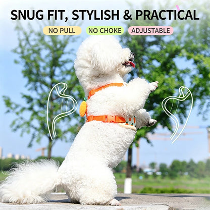 Cute Strawberry Dog Harness Leash Set for Small Medium Dogs Escape Proof Pet Chest Strap Adjustable Breathable Dog Vest Harness