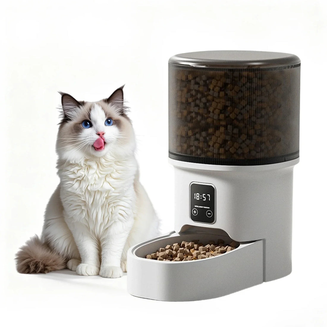 4L Automatic Cat Feeder with Timer Portion Control 1-6 Meals Per Day Button Control for Cats &amp; Small Dogs Supplies