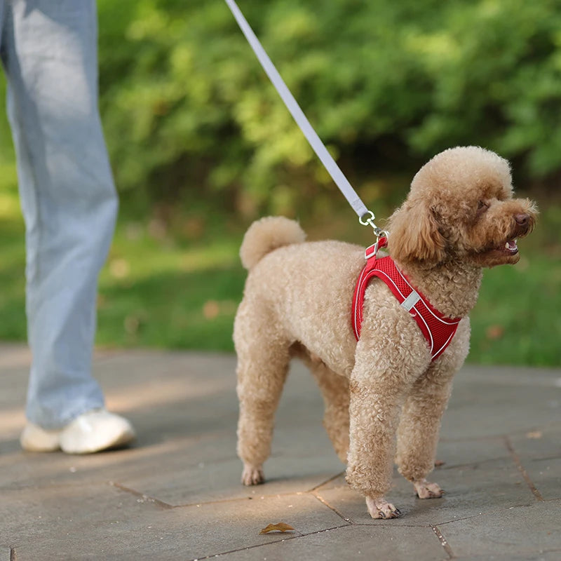 Dog Harness Leash