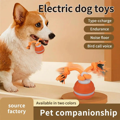 Pet Ball Interactive Toys for Dogs Motion Activate Rolling Ball for Puppy/Small Dogs Automatic Moving Toy USB Rechargeable Toy