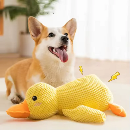Duck Dog Toy