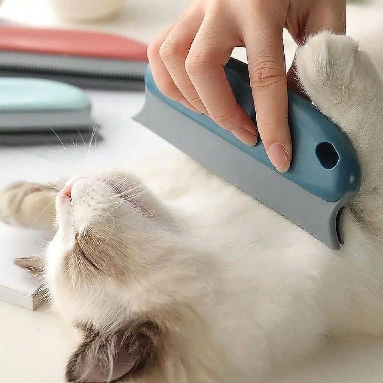 Pet Hair Remover Brush