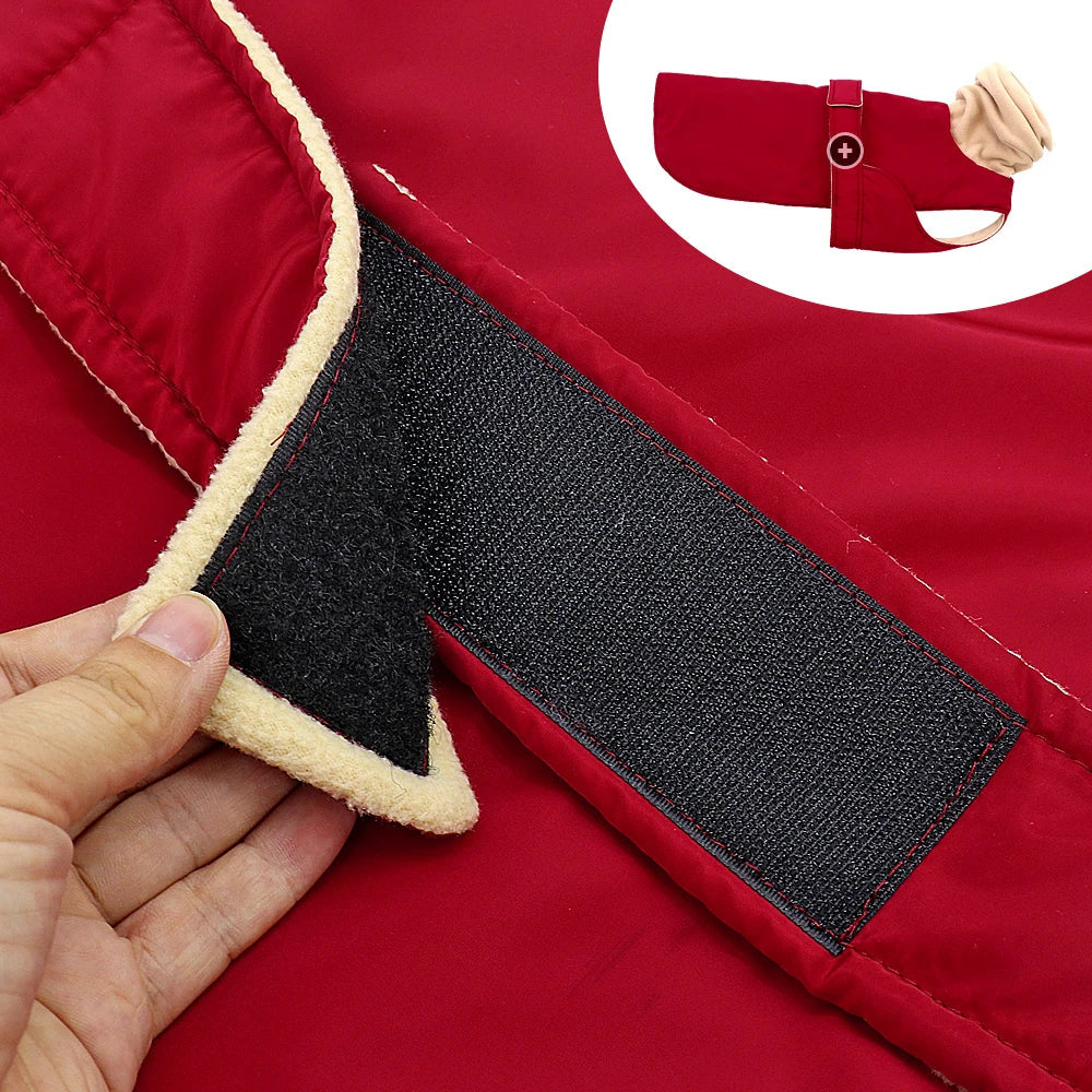 Arctic Paws: Cozy Waterproof Jacket for Big Dogs