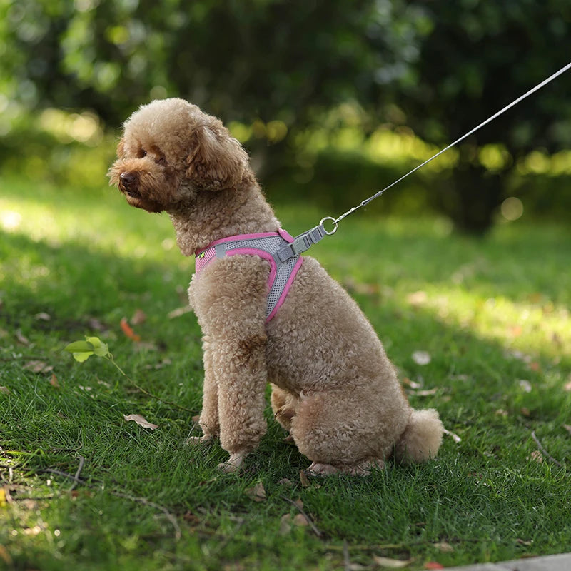 Dog Harness Leash