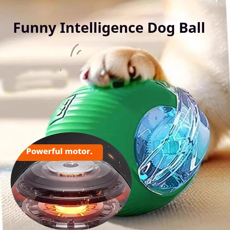Ball Toy,Automatic Rolling