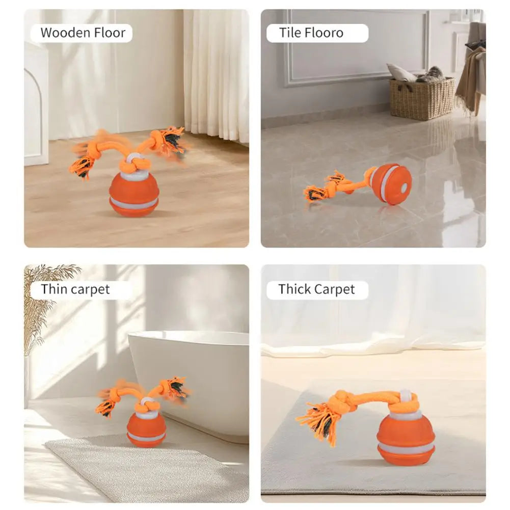 Pet Ball Interactive Toys for Dogs Motion Activate Rolling Ball for Puppy/Small Dogs Automatic Moving Toy USB Rechargeable Toy