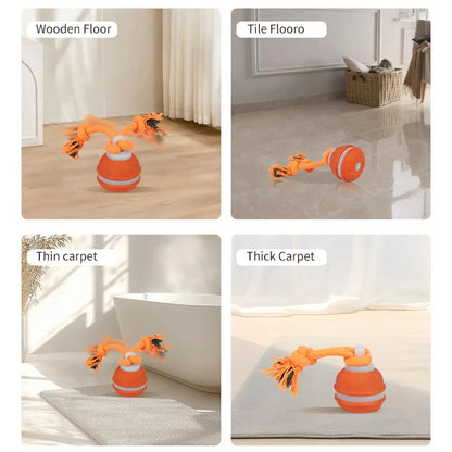 Pet Ball Interactive Toys for Dogs Motion Activate Rolling Ball for Puppy/Small Dogs Automatic Moving Toy USB Rechargeable Toy