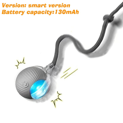Ball Toy,Automatic Rolling