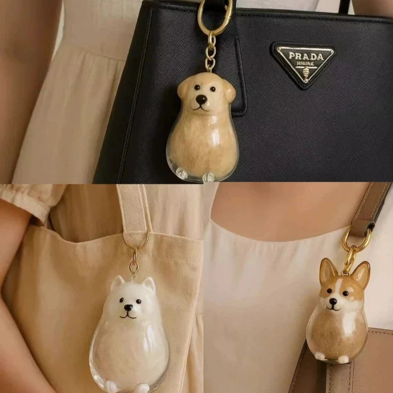 Transparent Storage Box Dog Hair Collection Pendant Golden Retriever Corgi Samoyed Labrador Hair Storage Keychain