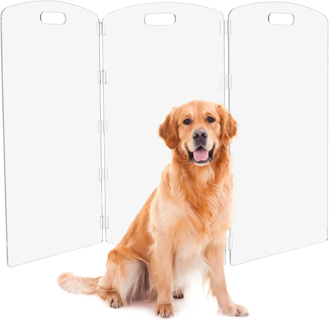 Clear Acrylic Pet Gate - 32" Tall Folding Barrier for Doorways &amp; Stairs, Indoor Fence for Dogs &amp; Cats
