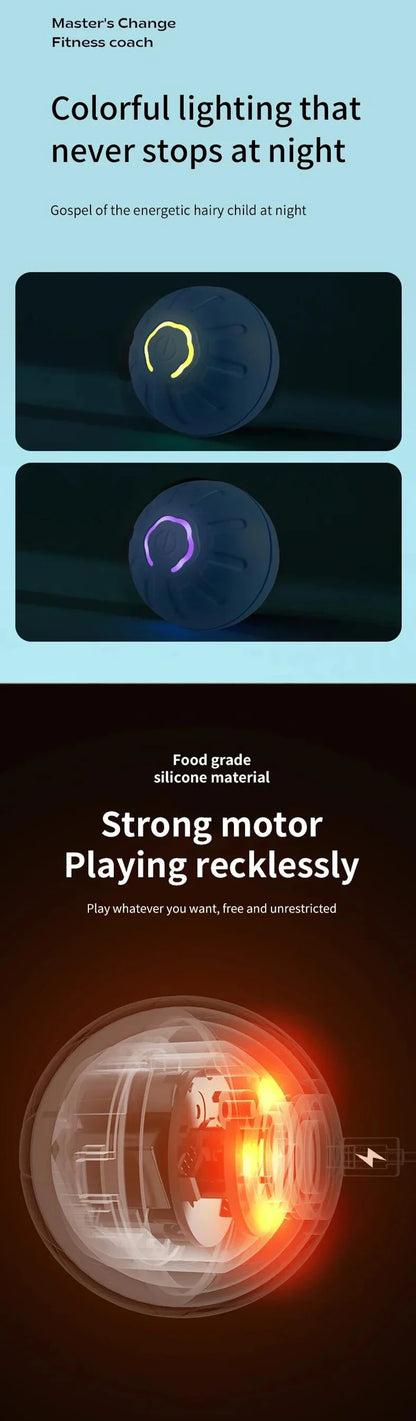 Smart Dog Toys Ball