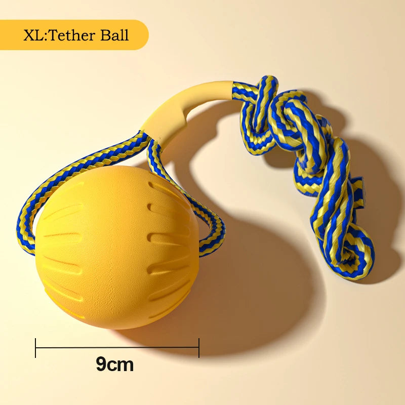 Flying Disc + Ball + Tug Rope