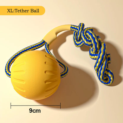 Flying Disc + Ball + Tug Rope
