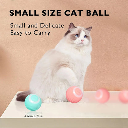 Smart Dog Toys Ball